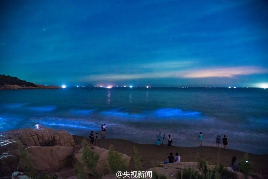 全民剧本大师内置菜单