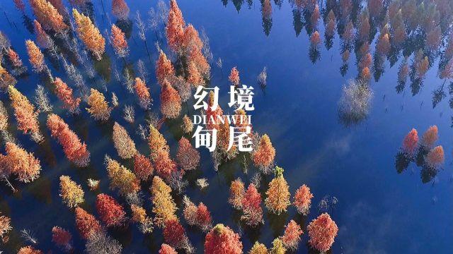 妖尾VS海贼王2.0