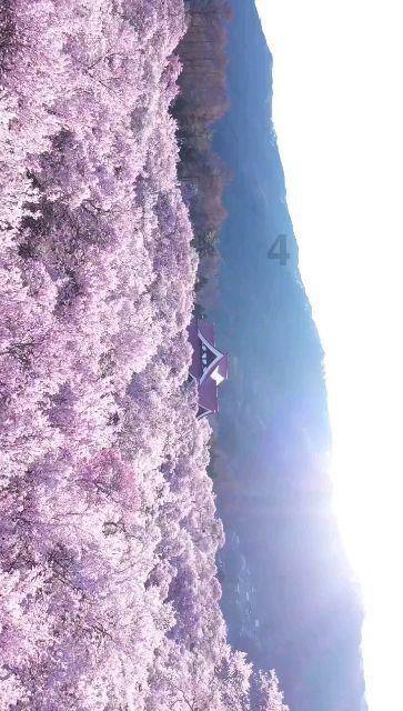 新年游优选场地!韩国综合性度假胜地迎仕柏度假城即将全面开放