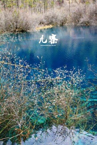 带你重温老保定美食名吃,小伙伴们准备好了吗?