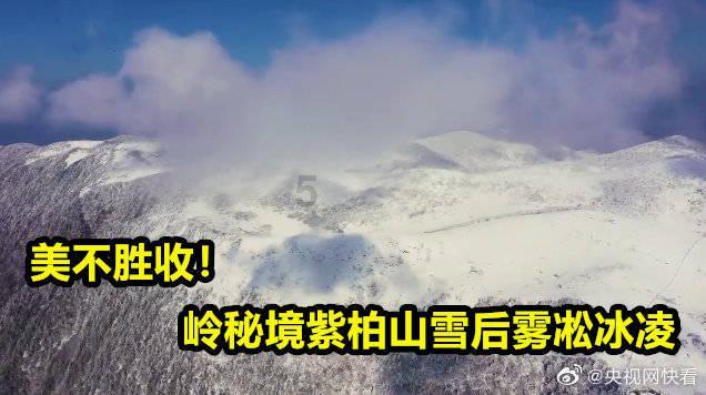 九江特色美食萝卜粑 冬日暖胃又暖心