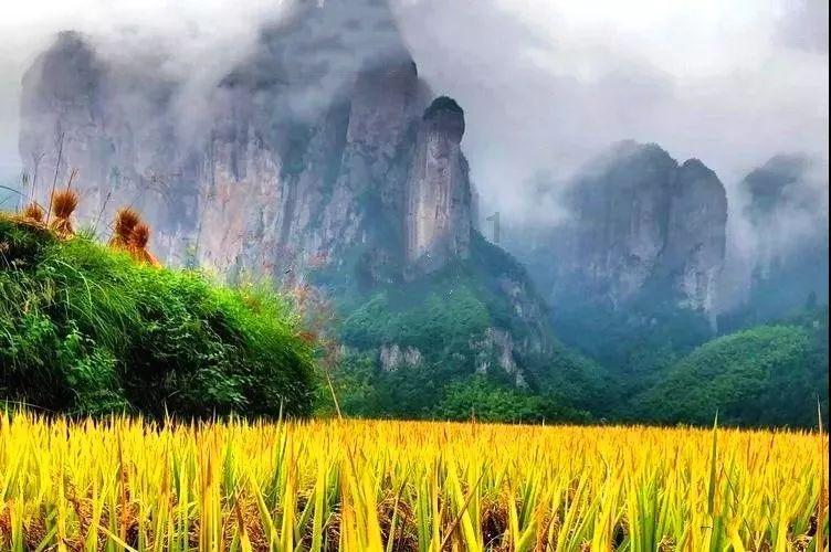 摇滚乐团的装扮