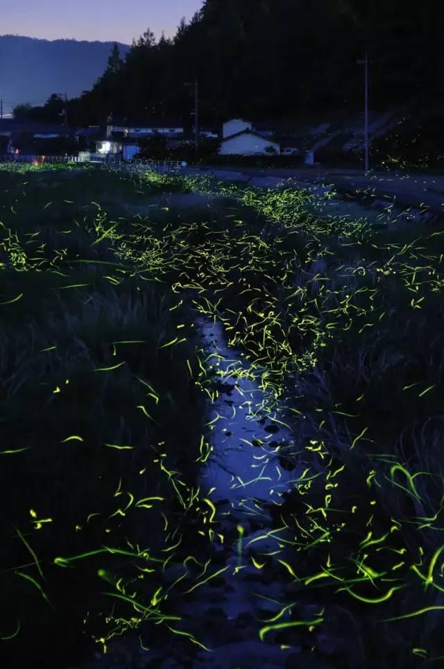 青蛙跳一跳