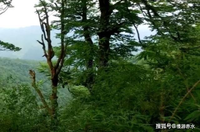 摇滚乐团的装扮
