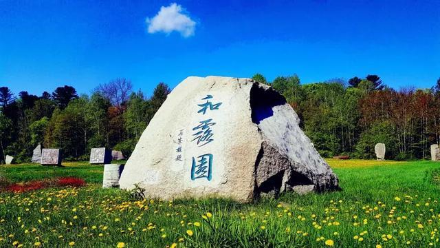 掘地挖宝