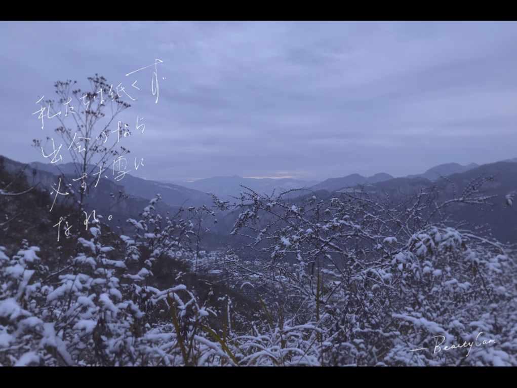 花与剑