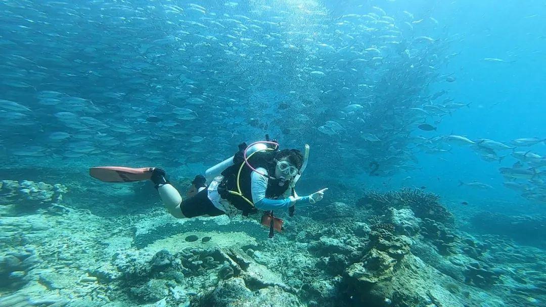 救援海盗章鱼