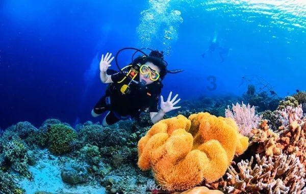 海王星VS僵尸军团