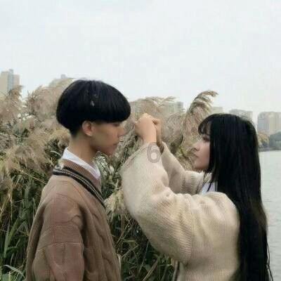 组装机械章鱼龙