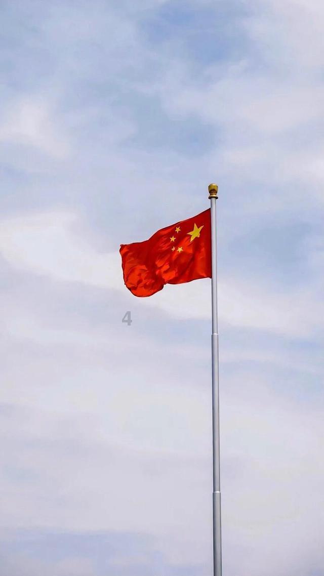 两会好声音丨周登高:让竹林成为美丽“湘”村的风景线