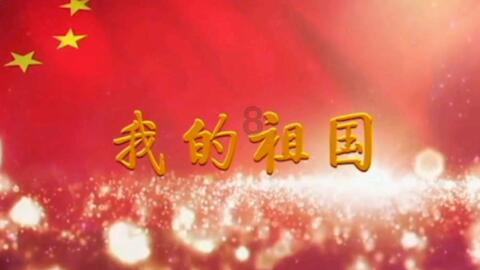 产销量连续九年位居全球第一——中国新能源汽车在海外市场受欢迎
