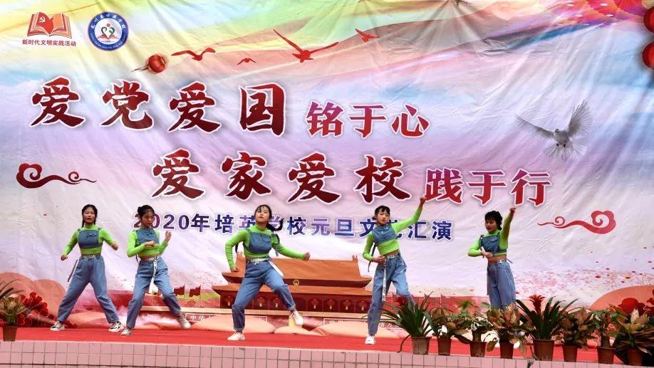 泡沫森林