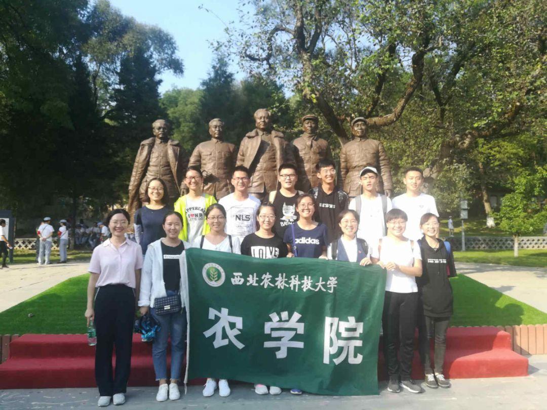 圣诞老人搭末班车4