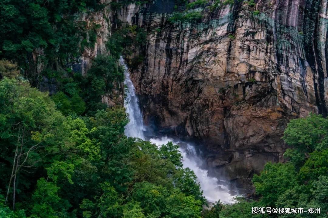 2024春节山东文化旅游节|在东明赶冬季黄河大集 品人间烟火气