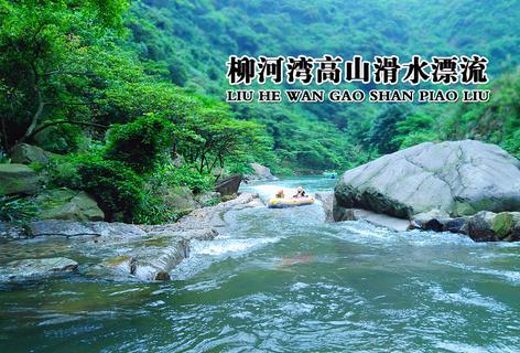悲伤兔大冒险