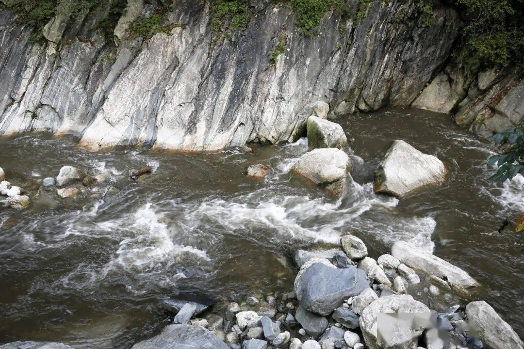 网传汪峰陈露结婚，汪峰工作室辟谣