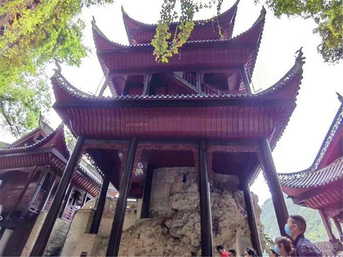 探讨心灵的香港名媛抱五个月大女儿坠楼,是什么原因造成的?交流圈