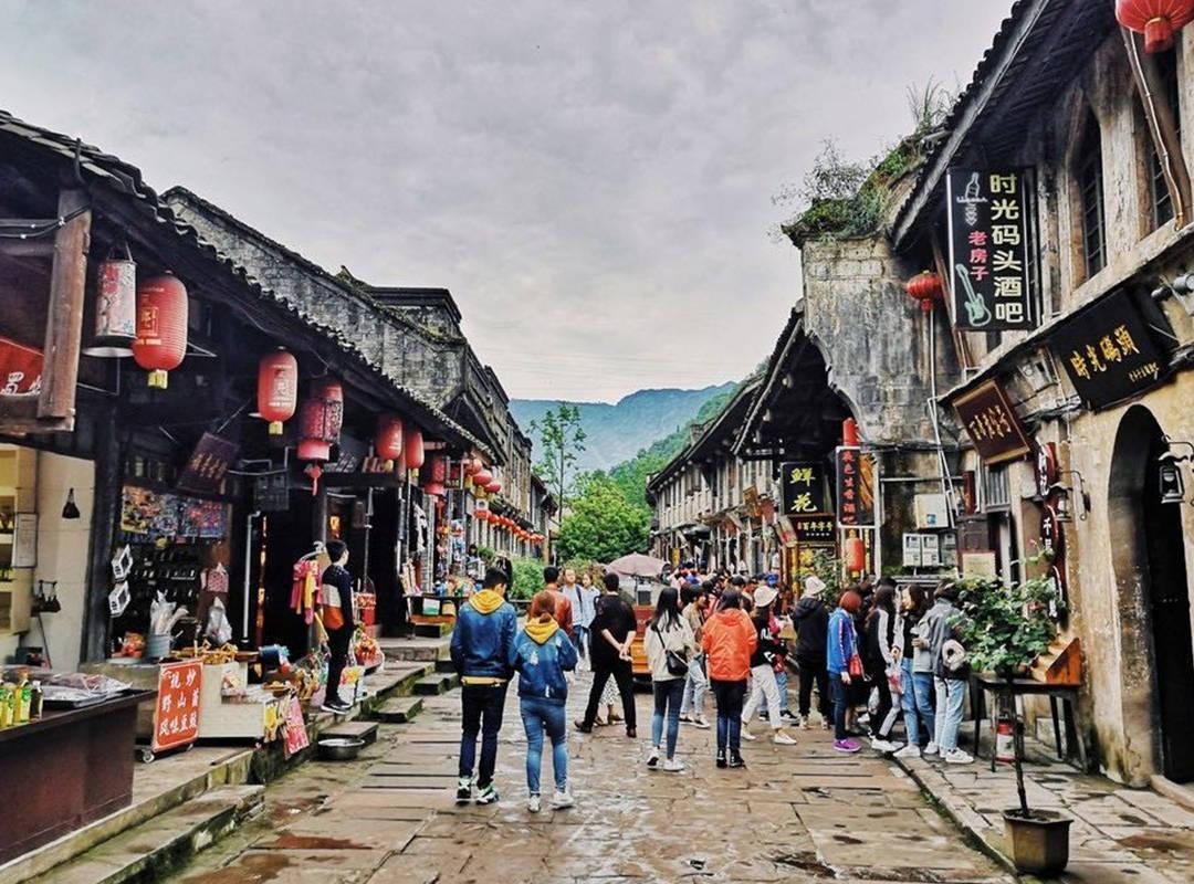 虫虫助手下载