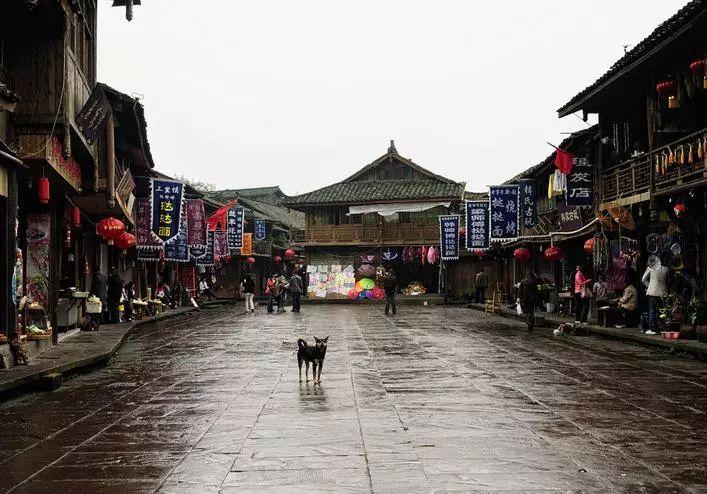 林武参加青岛代表团审议时强调 着力加强和创新社会治理 谱写中国式现代化山东实践新篇章