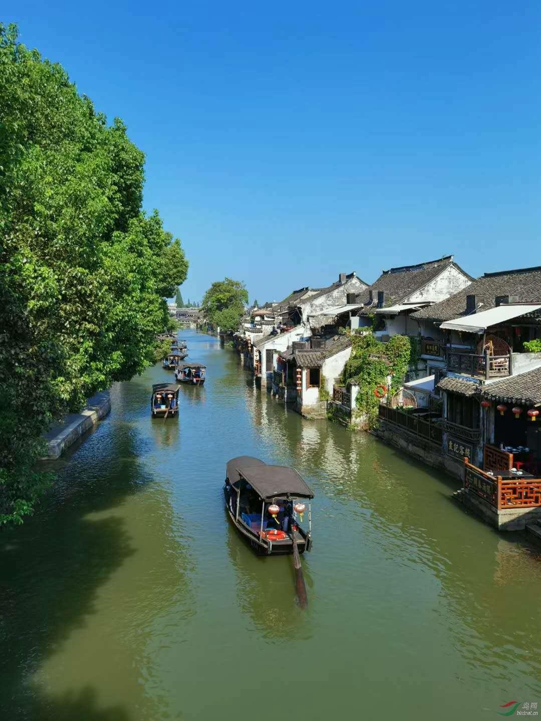 现在失业了社保怎么办-有问必答平台