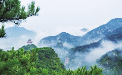 我阴虚火旺用什么中药方剂游戏画面