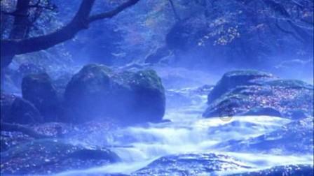 汉视新闻 | 交警部门多措并举优化提升中心城区天汉大道通行效率
