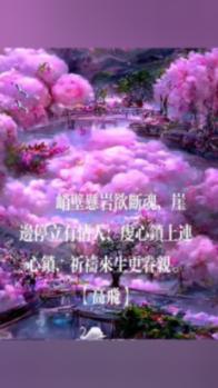 旋转轮胎
